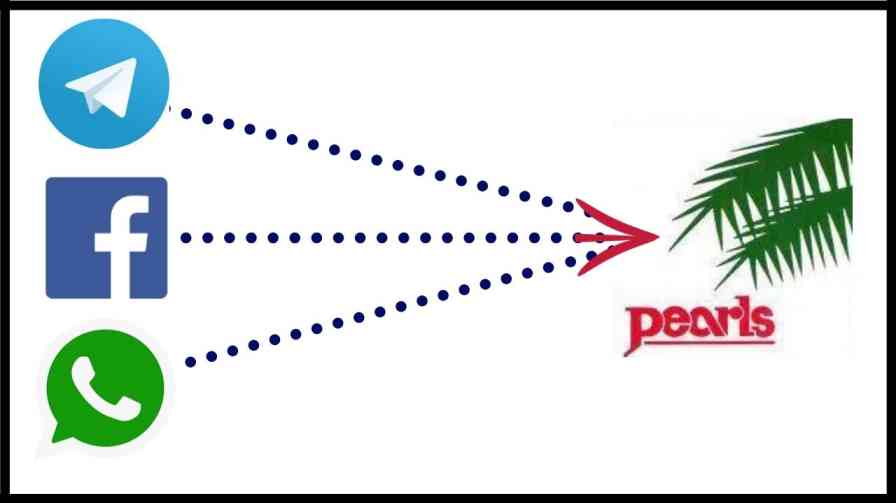 For example, pacl pearls india limited company It takes a long time to get any information about paid people.