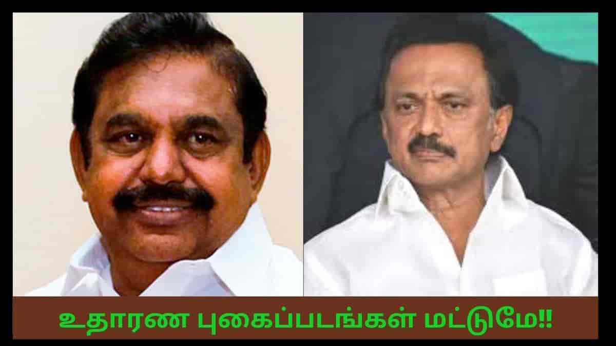 pacl tamilnadu