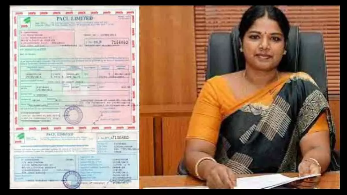 Chief Minister scheme in your constituency PACL