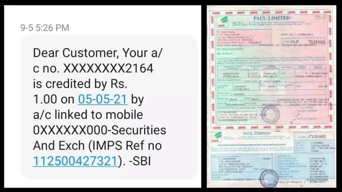 pacl money sms